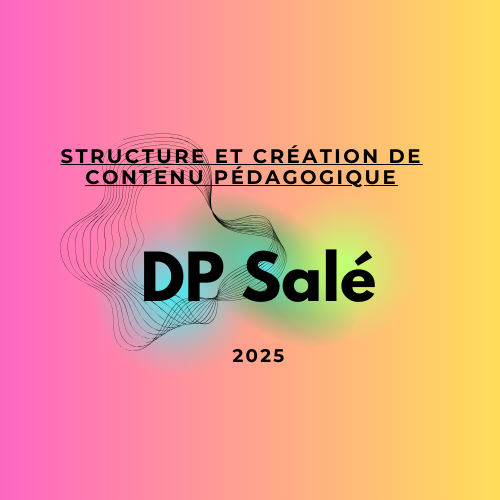Accueil | Plateforme DP Salé